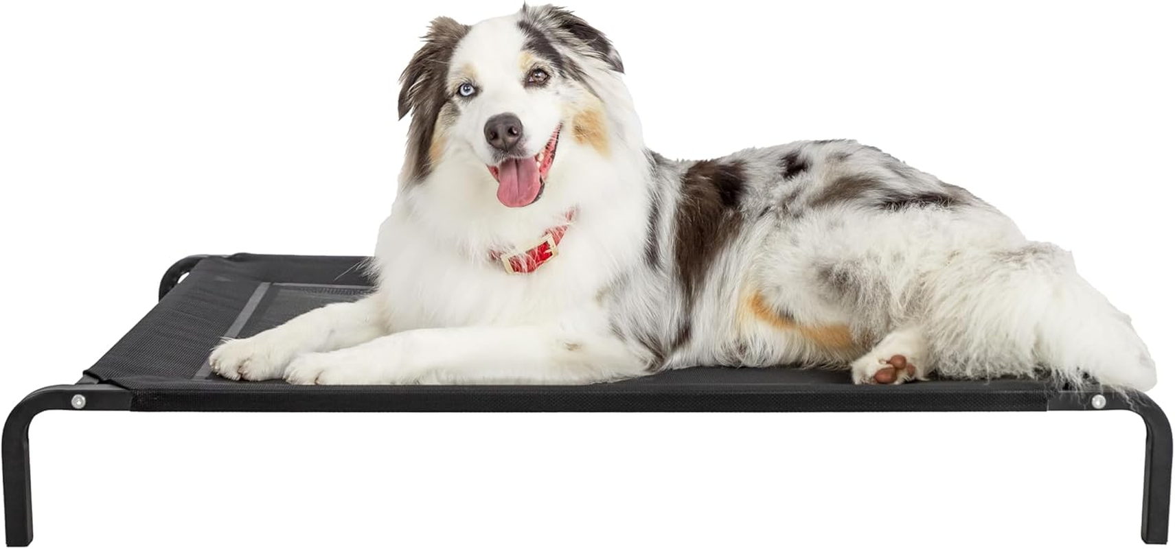 Flea Free Elevated Dog Bed (Medium) 106X63X15Cm / Black/The Original Fleafree Brand image number 4