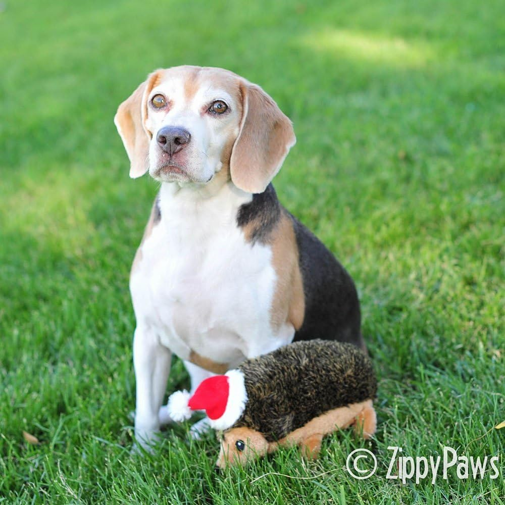 Zippy Paws Plush Squeaker Dog Toy - Christmas Holiday Hedgehog - Large image number 3