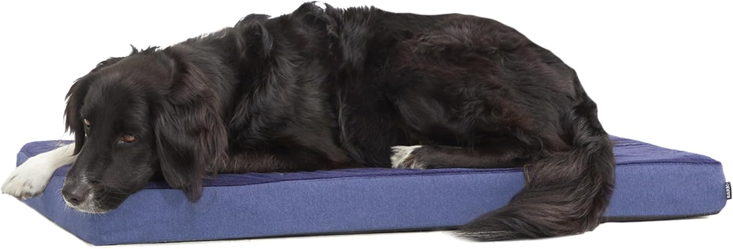 Barkbox Memory Foam Platform Dog Bed | Plush Mattress for Orthopedic Joint Relief (Large, Grey)
