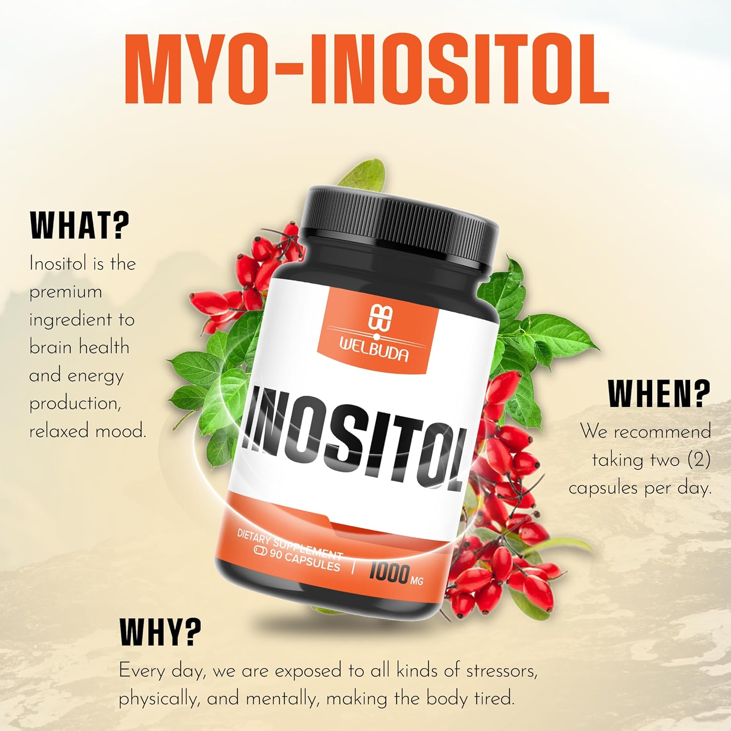 1000Mg Myo-Inositol and D-Chiro Inositol Supplement - 90 Capsules image number 5