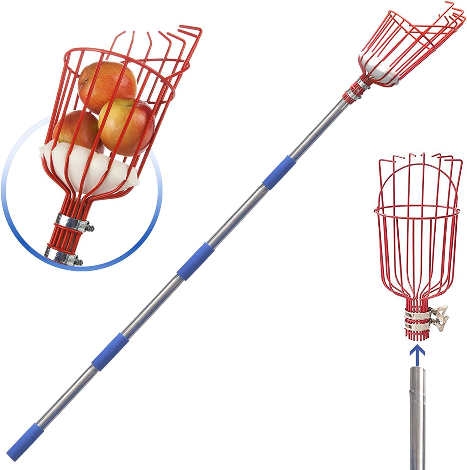 DIIG 8 Foot Fruit Picker Tool with Stainless Steel Pole, Picking Equipment for Lemons, Apples, Guavas, Avocados, Pears, Mangoes, Oranges image number 5