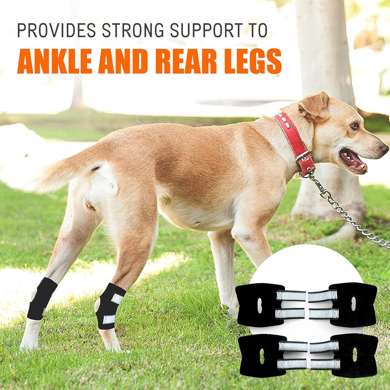 2 Pcs Dog Knee Brace for Torn ACL Hind Leg and Luxating Patella, Canine Rear Hock Joint Support, Joint Injury and Sprain Protection, Removable Design，Pet Joint Protection Cover. (S) image number 4