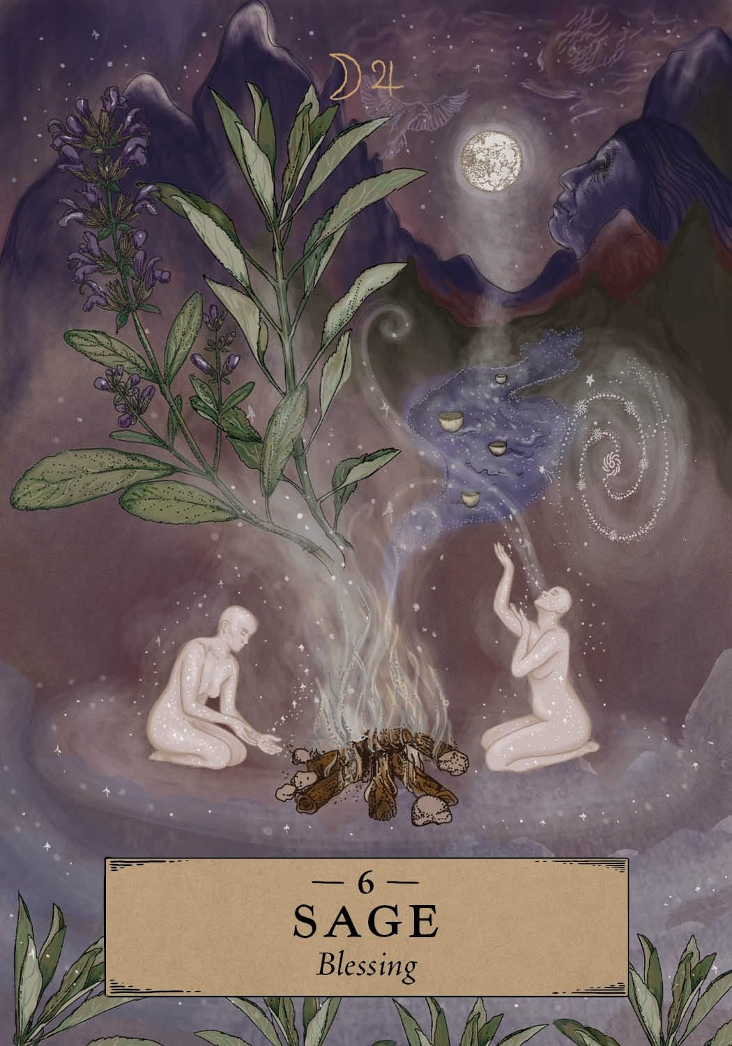 The Herbal Astrology Pocket Oracle: a 55-Card Deck and Guidebook image number 6