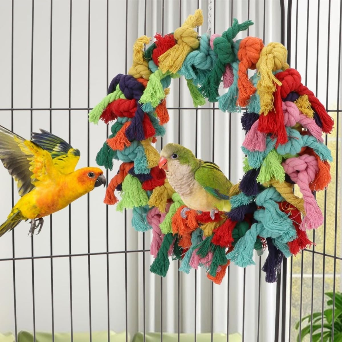 AIMALL Large Cotton Rope Ring Bird Toy for Parrots - 11.8 Inch, Colourful Parrot Swing and Biting Chew Toy, Fun Bird Activity Ring, 366G image number 2