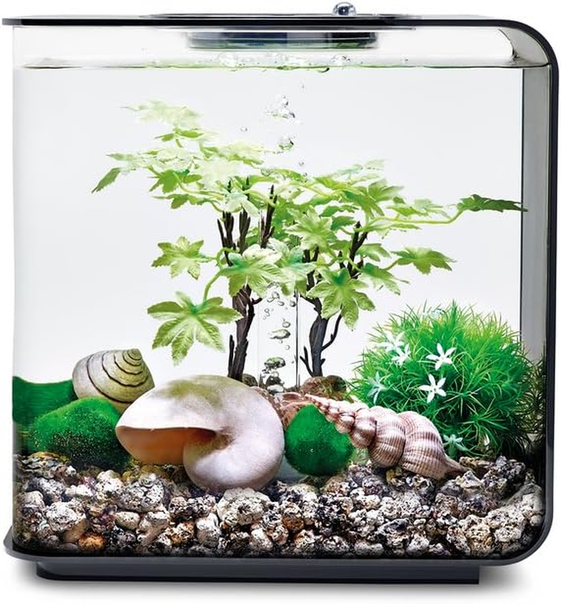Biorb Decor Set 15L Summer image number 3