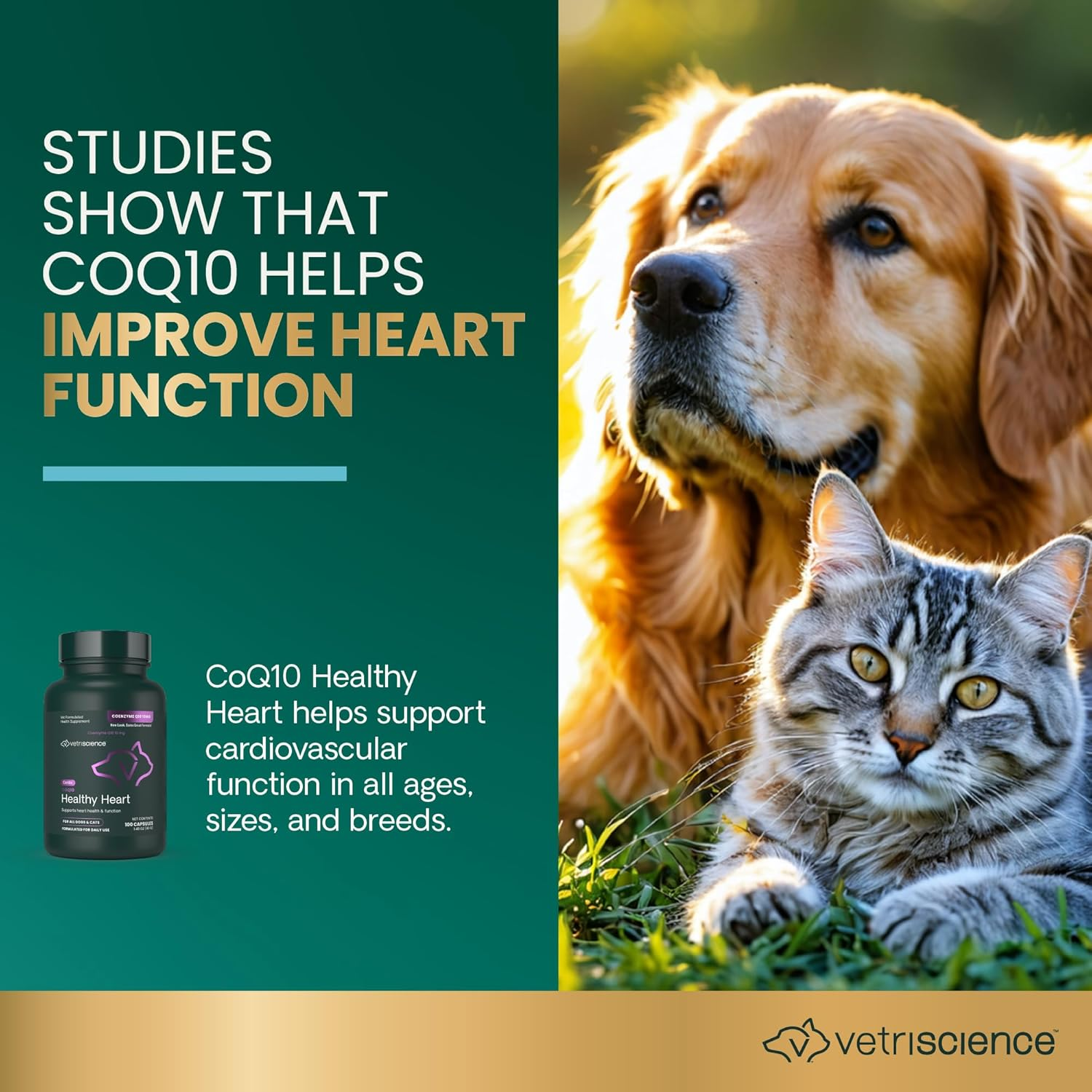 Vetriscience Coq10 Healthy Heart Easy-Open Capsules, Coenzyme Q10 Cardio and Healthy Aging Supplement for Dogs and Cats, Heart Support Supplement with 10 Mg Coq10, 100 Count