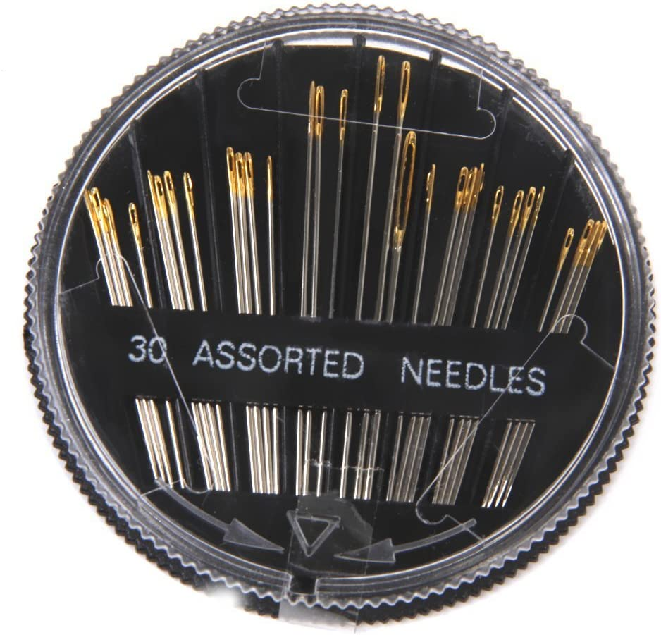 CJESLNA 30Pcs Assorted Hand Sewing Needles Embroidery Mending Craft Quilt Sew Case