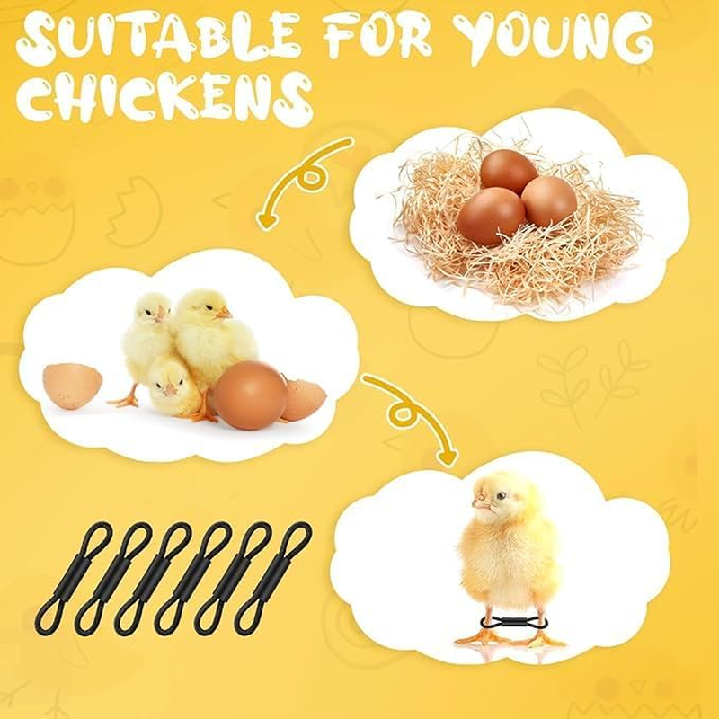 Ksngtixe 100Pcs Elastic Chick Leg Bands - Poultry Leg Braces for Chicks, Quail, Ducks, Pigeons, Splay Foot Correction for Small Birds image number 4