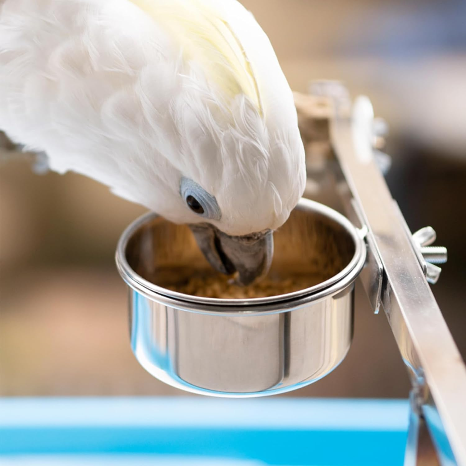 Luckyopt 11 Oz Bird Cage Feeding Bowl, Removable Hanging Metal Bird Bowls for Cage Prevent Tipping and Movement, Sturdy Small Animal Bowls for Hamsters, Parrots, Squirrels, Rabbits (10 X 4.5 Cm) image number 4