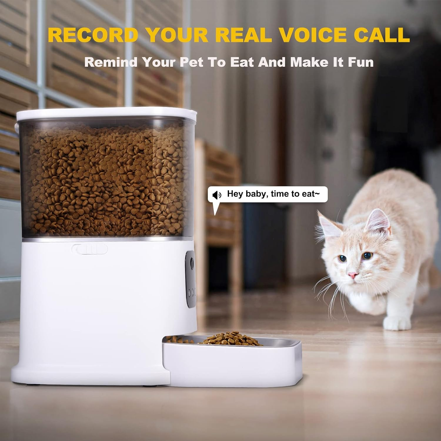 6L Automatic Cat Feeder, Smart Pet Feeder for Cats and Dogs, Auto Dry Food Dispenser with No-Clog Design, Voice Recorder, Portion Control and Stainless Steel Bowl (Standard) image number 1
