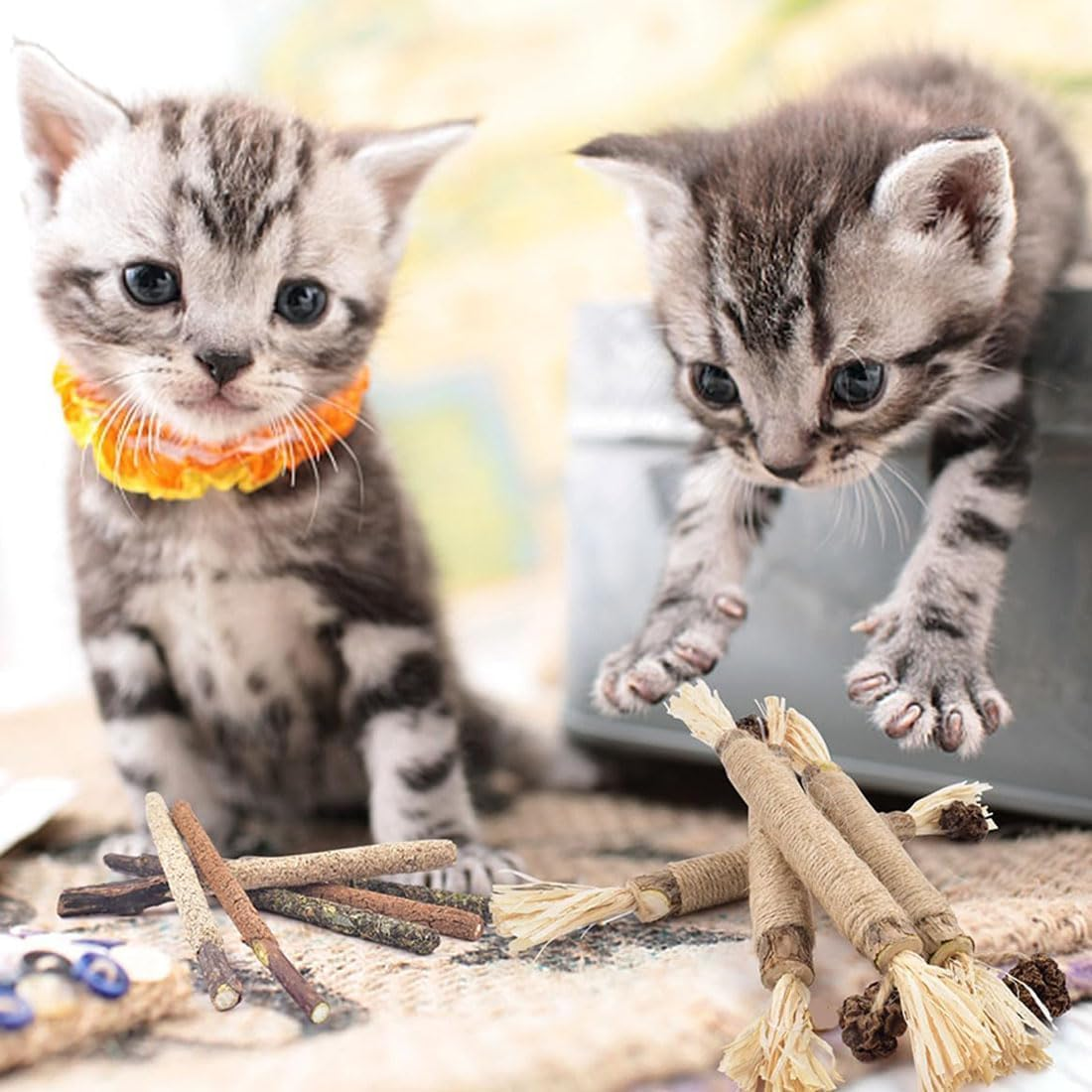 Nuna Pets Cat Chew Stick, Nunapets Cat Chew Toy, Silvervine Chew Sticks for Cats, Nunapets Natural Silvervine Stick Cat Chew Toy, Silvervine Sticks for Cats, Cat Teeth Cleaning image number 5