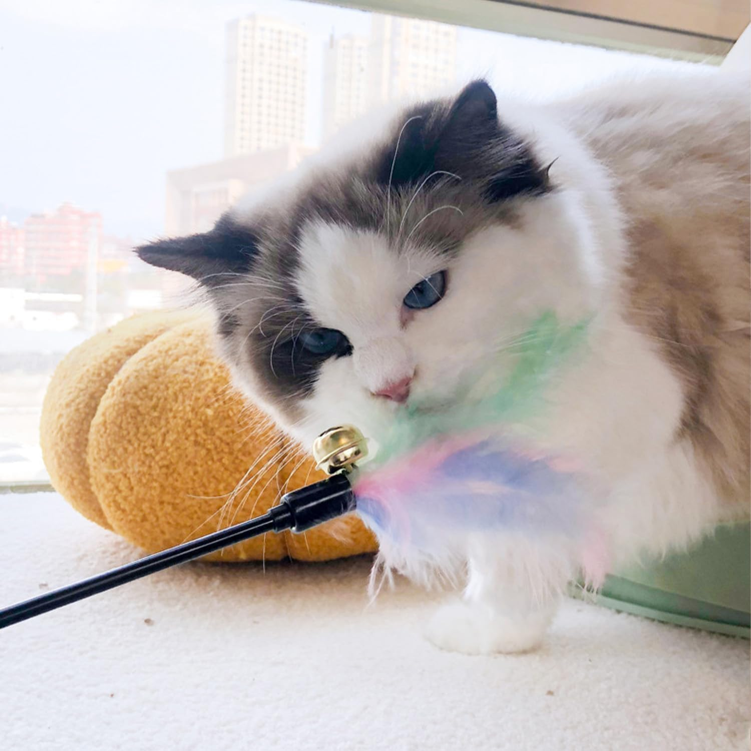 5 Pcs 20" Long Cat Feather Teaser Stick with Rattle Bell, Interactive Wand Toy for Cats and Kittens image number 4