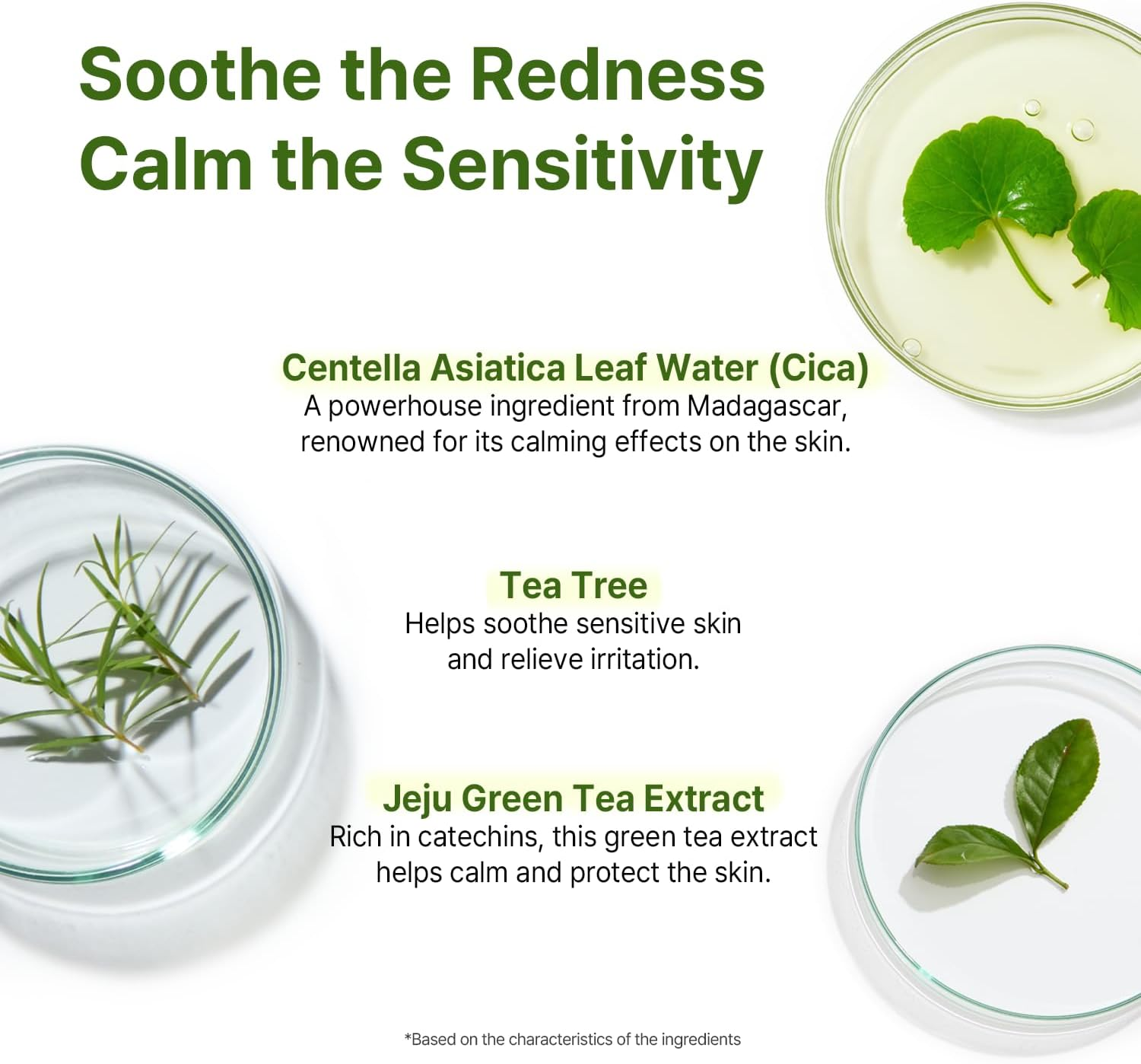 AVCA Cica Tea Tree Calming Serum 100Ml &ndash; Soothing for Redness & Sensitive, Blemish-Prone Skin, Oil Control K-Beauty image number 1