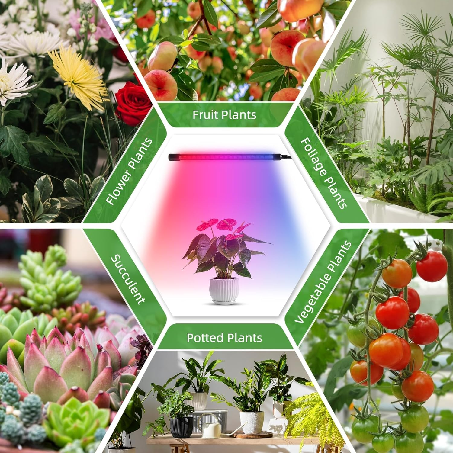 Mingzhe LED Grow Lights with Full Spectrum Clip Plant G G Lamp with Red Blue LED for Indoor Plants 10-Level Dimmable with 3/9/12H Timer 4-Head image number 4