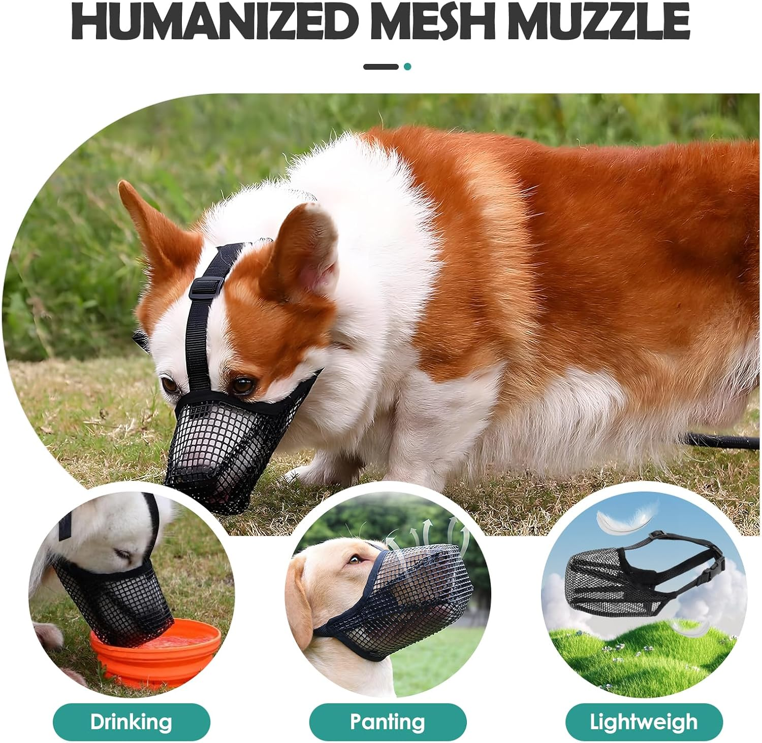 2Pcs Muzzle for Dogs, Breathable Mask PE Material, Soft/Mesh/Breathable/Adjustable, Prevents Biting, Chewing Barking, Suitable for Running Small, Medium, Large Dogs, L (M)