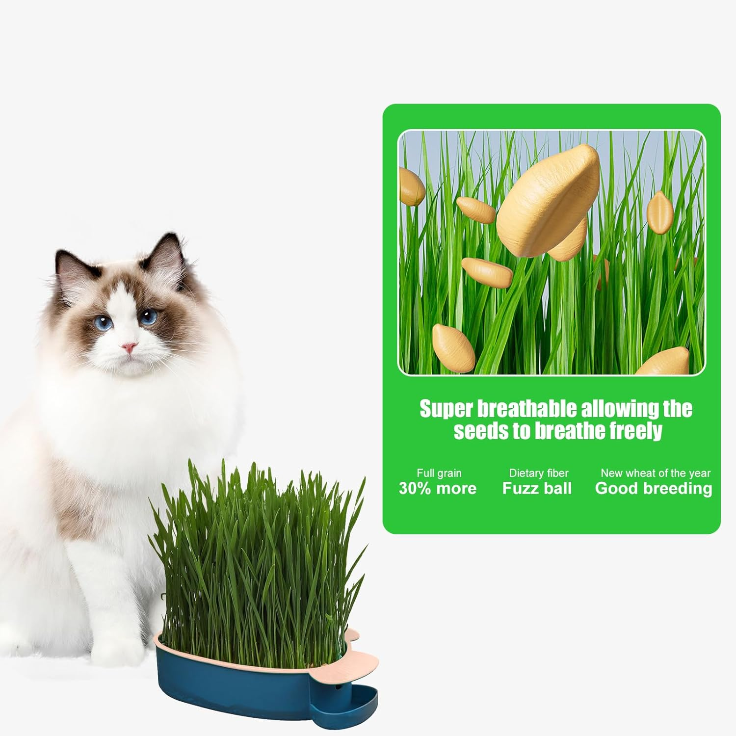 HOMURY Fish Shape Cat Grass Tray Growth Set: 2 Pieces Plastic Comfortable Cat Grass Case, Hydroponic Cat Grass Box with 10 Bags Seed, Cat Grass Germination Tray for Cats Pets image number 5