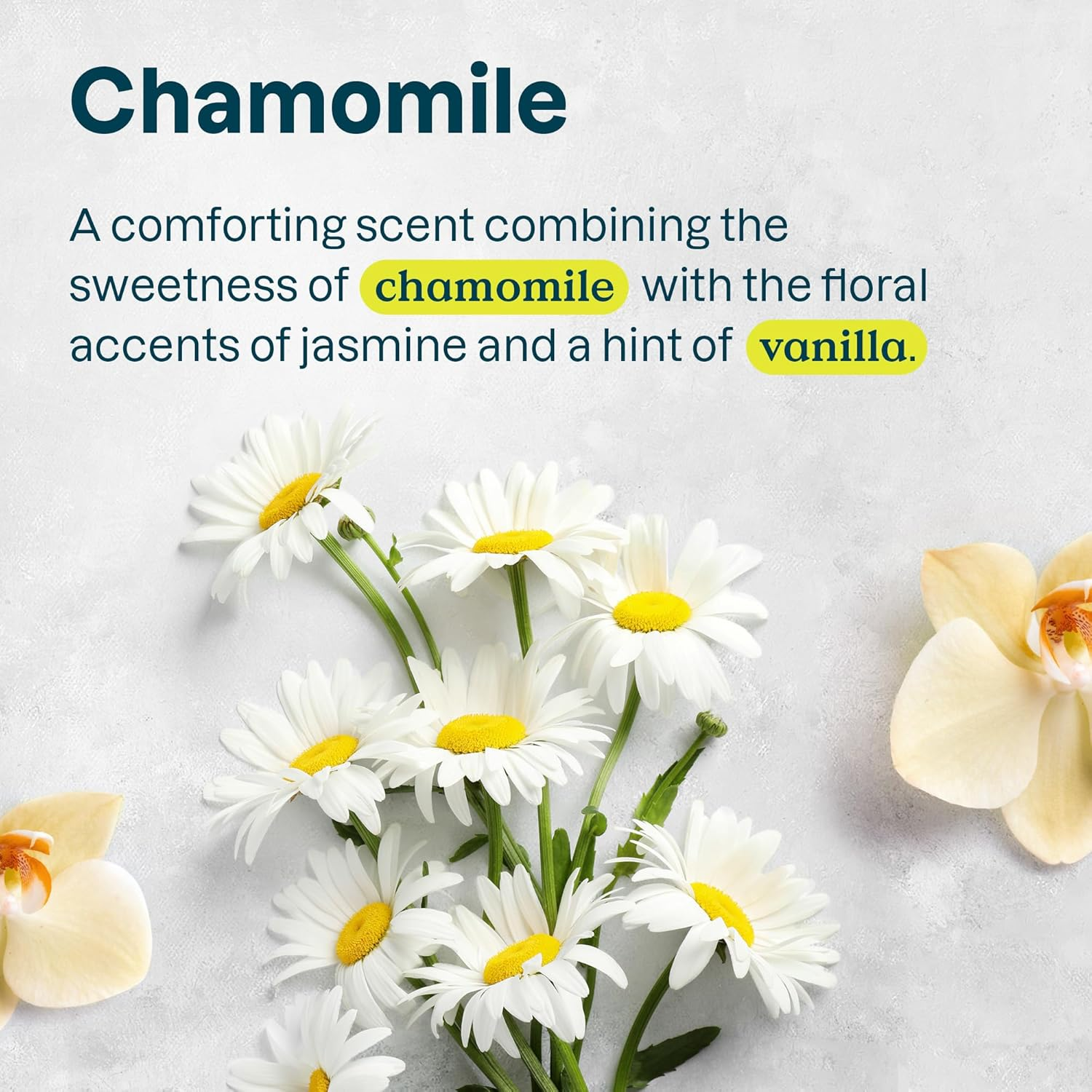 Attitude Sensitive Skin Shower Gel Soothing & Calming Chamomile - 16 Fl Oz image number 1