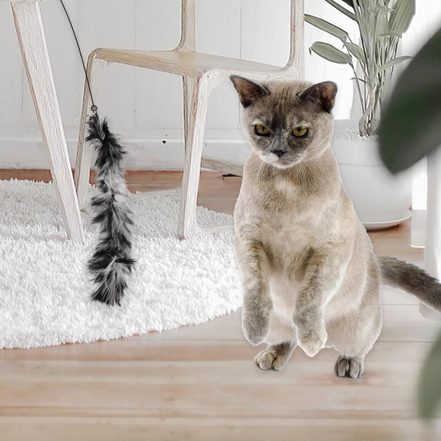 CAPASTEC Pack of 2 Feather Cat Wand Replacement for Pet Interactive, Grey/Black image number 4