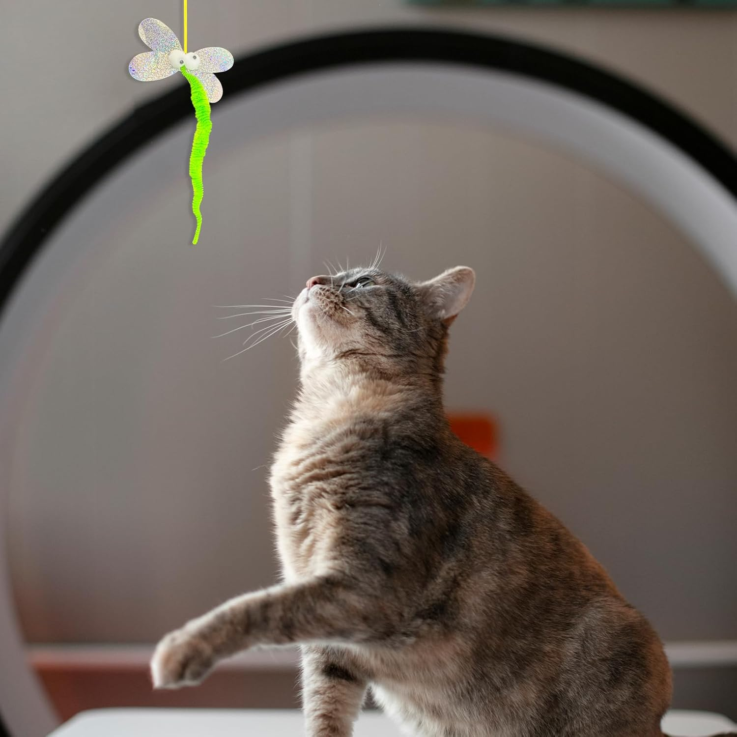 TEAONE Retractable Cat Toys, 4 PCS Hanging Cat Toy for Kittens and Puppies (4 Styles) image number 4