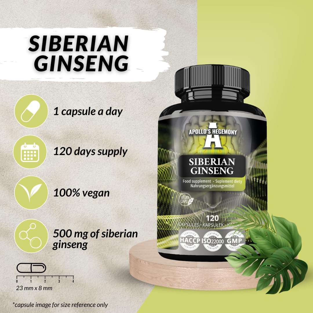 Siberian Ginseng 500 Mg - 120 Vegan Capsules - 4 Month Extract Standarized to 0,8% Eleutherosides B + E - Dietary Supplement by Apollo'S Hegemony image number 2