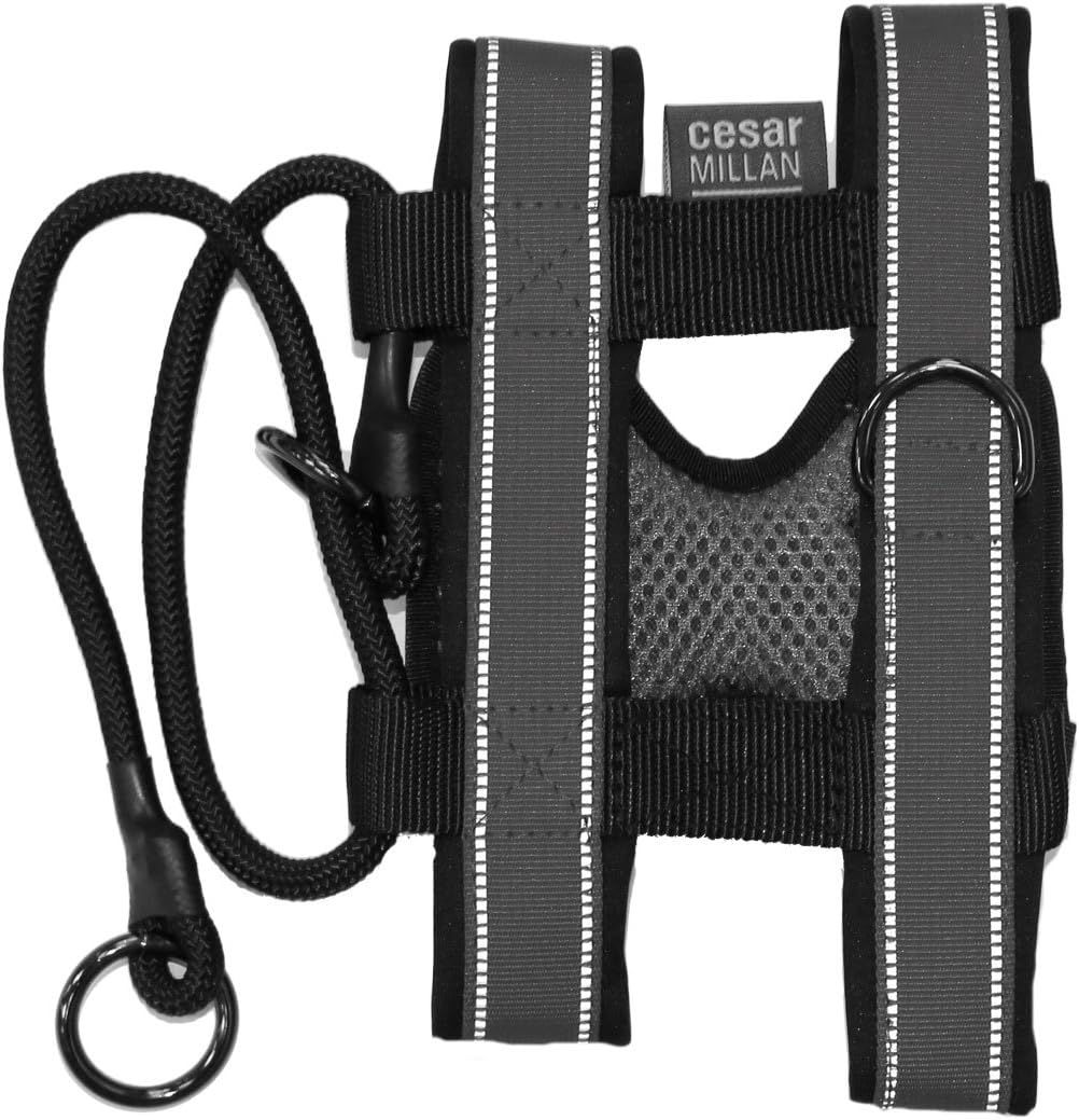 Cesar Millan Pack Leader Collar&trade; - Training Collar of the Dog Whisperer (Large, Grey) image number 4