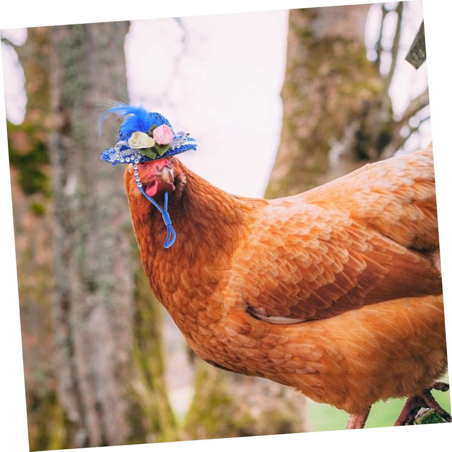Ksngtixe 5Pcs Floral Chicken Hats - Adjustable Strap Bird Headwear, Lightweight Pet Hat for Small Pets, Chickens, Parrots & Parakeets, Ideal Photo Props image number 6