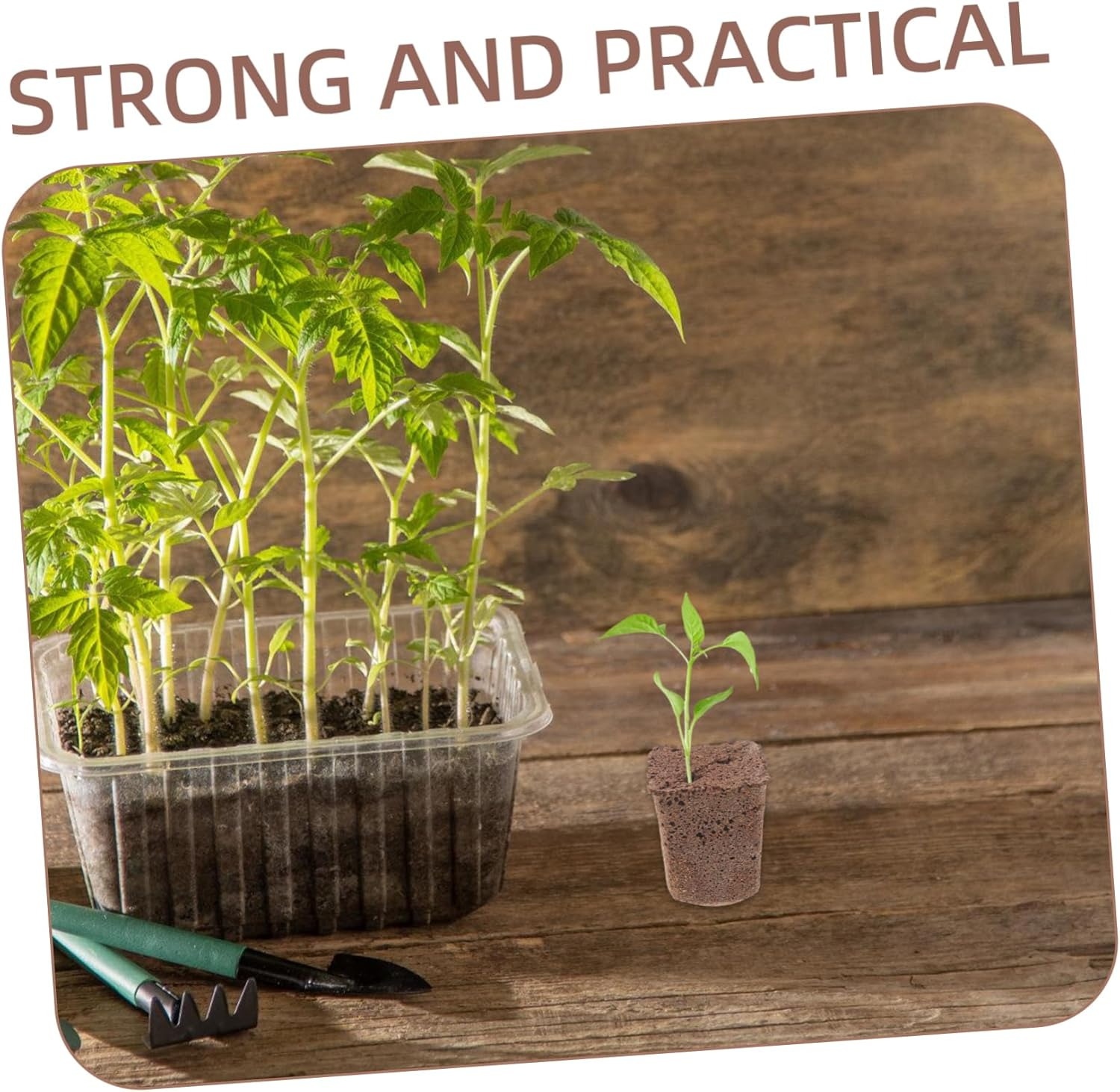 OFFSCH 40Pcs Hydroponic Starter Blocks Grow Cubes Plugs for Home Gardening Blocks Air Permeability Nutrient-Rich Planting Supplies image number 2