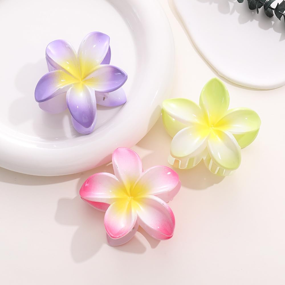 ZSPERKLA Pack of 6 Flower Hair Clips Large Hair Clips Non-Slip Acrylic Hair Clips Hair Accessories for Girls Women image number 1