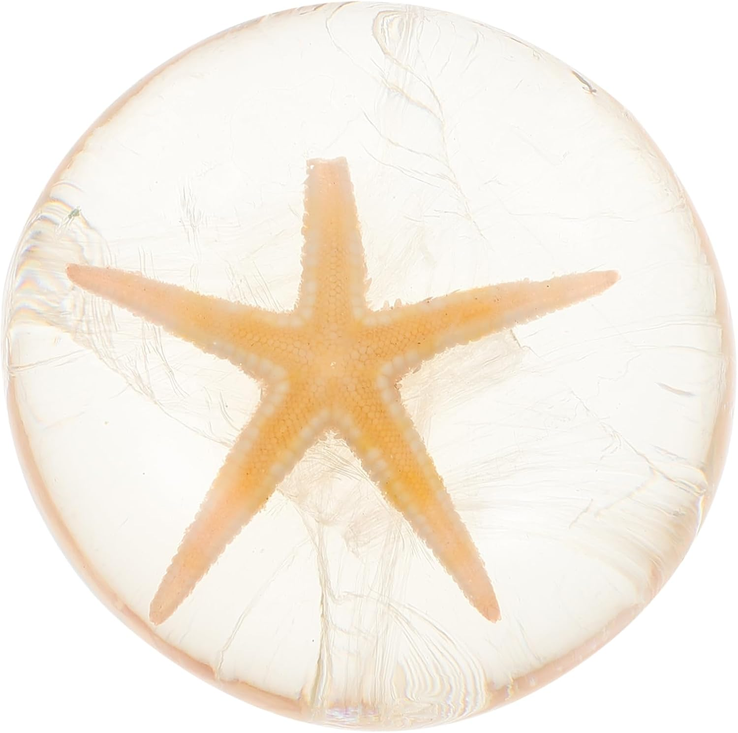 Healeved 1Pc Hydrating Acid Soap Moisturizing Acid Cleanser Essential Oil Jelly Shell Design for Deep Cleansing Travel-Friendly Face Washing Soap