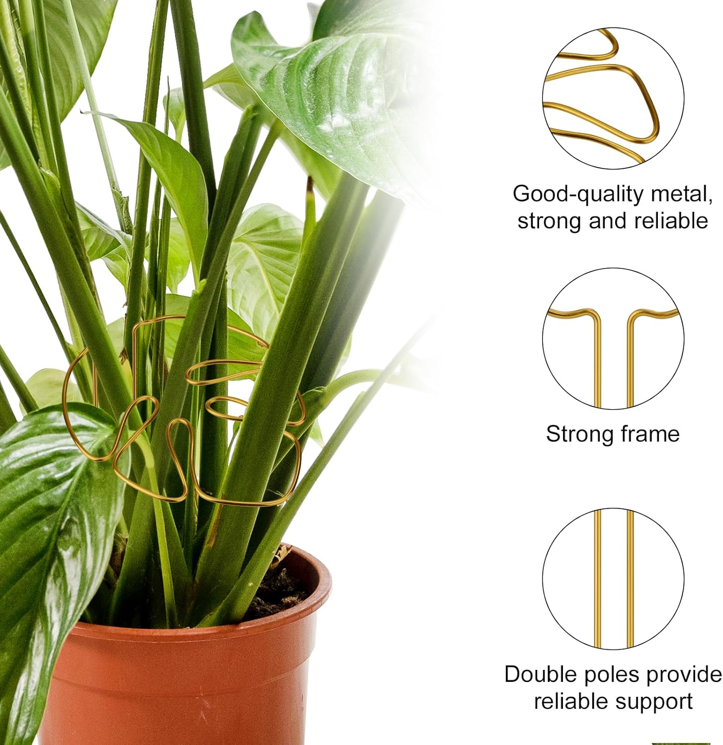 2Pcs Monstera Stand, Golden Stems Stands for Indoor Climbing Plants Reusable Plant Support for Indoor and Outdoor Plants image number 4