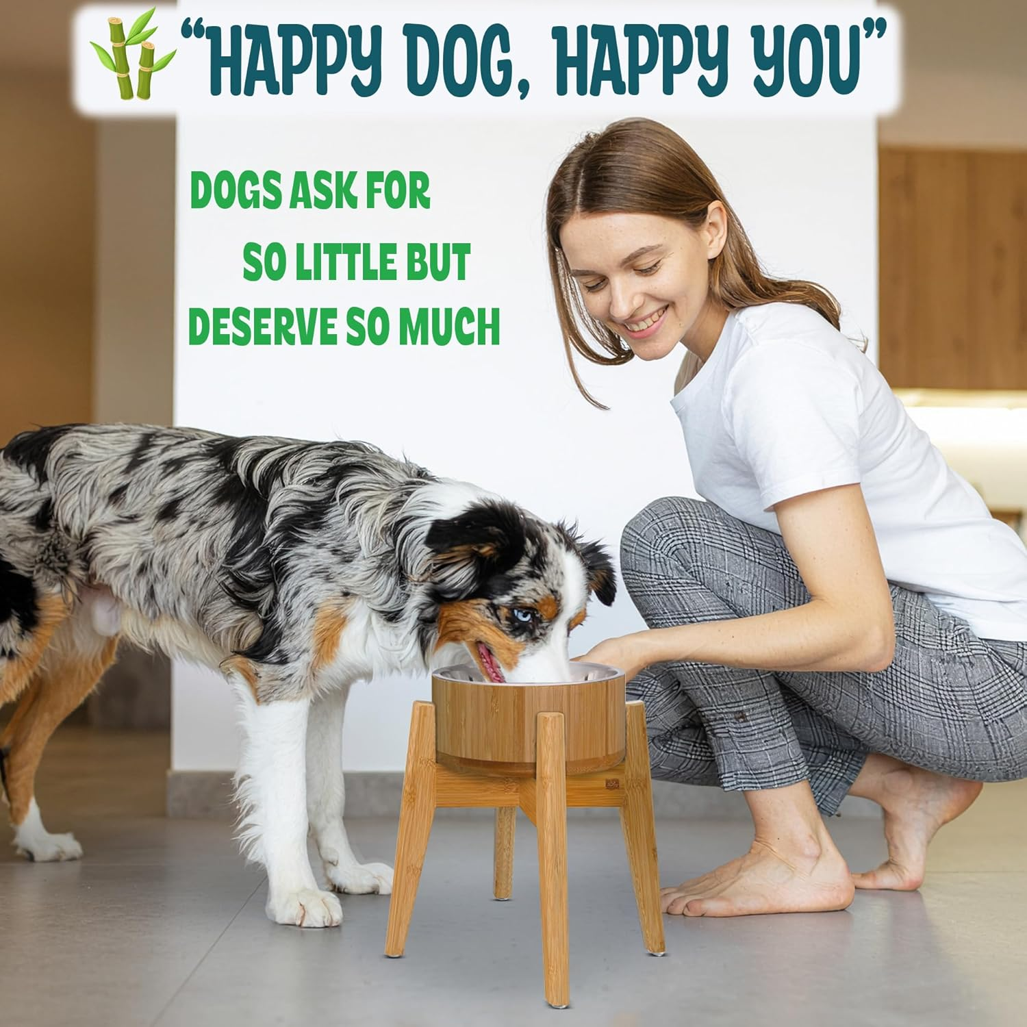 Raised Dog Bowl - Elevated 12-Inch, Large Breeds Treats, Dry and Wet Foods Suitable - Deter Ants/Bugs, Resist Tip-Over - Bamboo/Steel Bowls image number 1