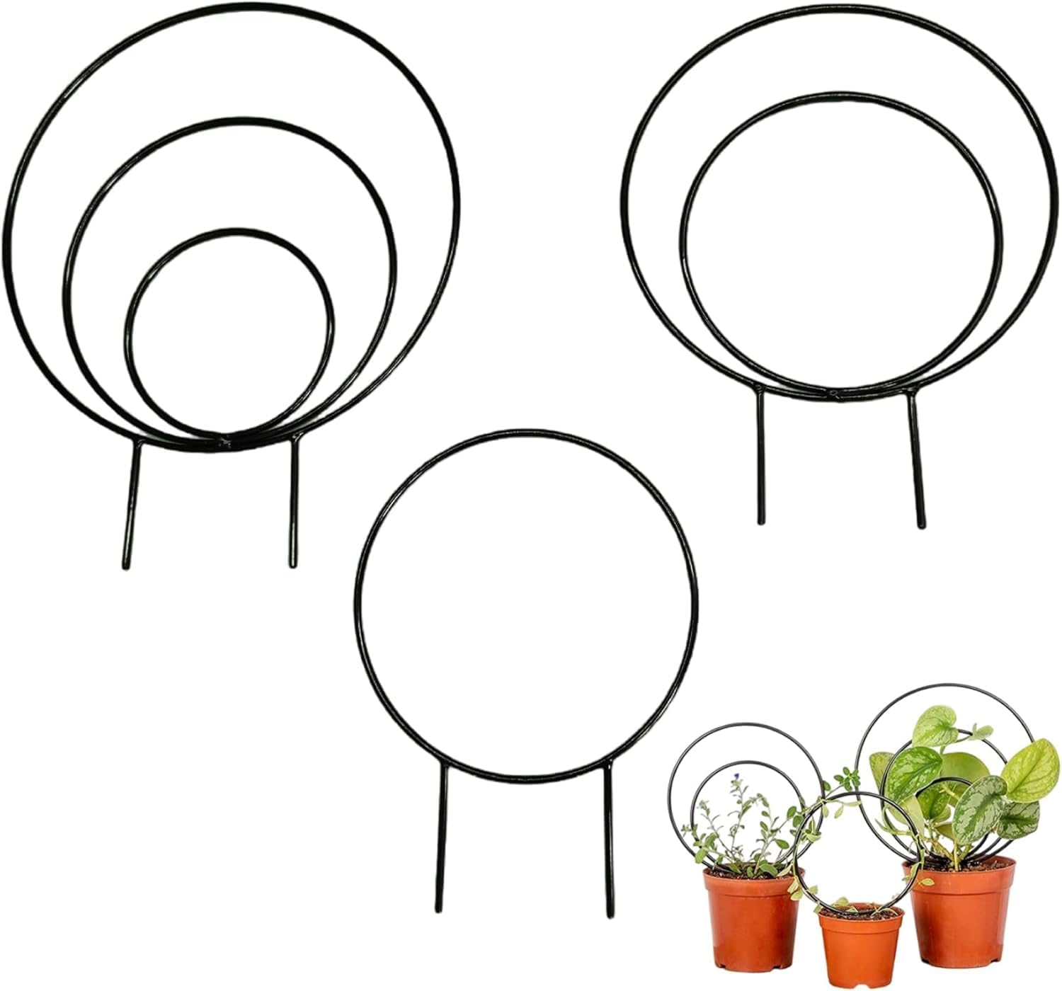 Round Plant Trellis Support Stakes, 3 Pieces, Black, Multiple Sizes for Indoor Climbing Plants,Unique round Hoya Trellis, Different Size Houseplant Trellis for Indoor Climbing Plant,Black