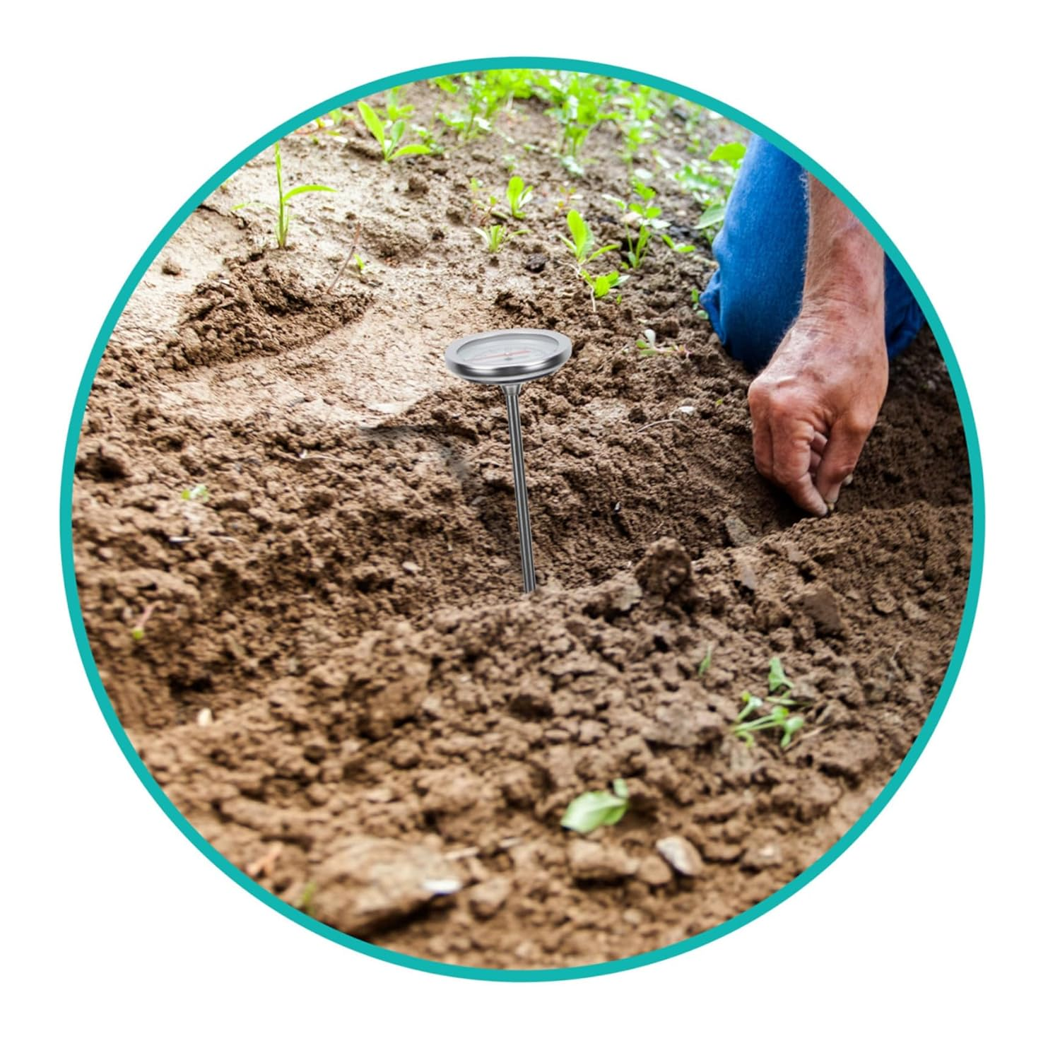 STAHAD Stainless Steel Soil Compost Thermometer Probe with Scale Gardening Temperature Detector for Fertilizer and Soil Monitoring C to Lightweight and Portable Tool image number 2