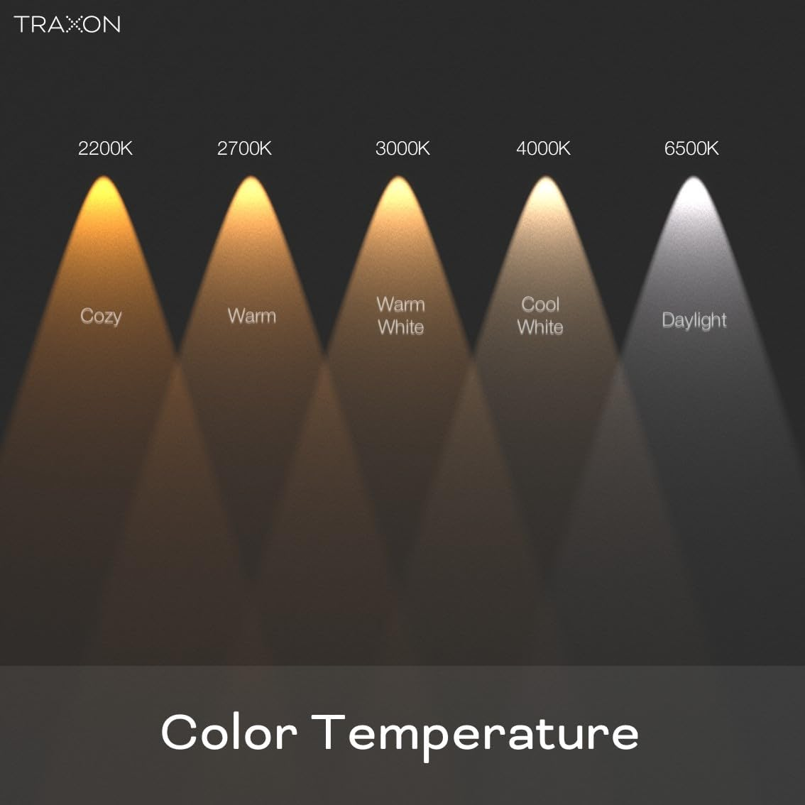 TRAXON LUXPOINT LED Recessed Spotlight, Filbert Round, 15W, Warm Light, 3000K, 1800Lm, PS Ceiling Light, Integrated Driver, Ceiling Cut, Diameter 145-150Mm, IP20, Indoor (Warm Light 3000K, Pack 2)