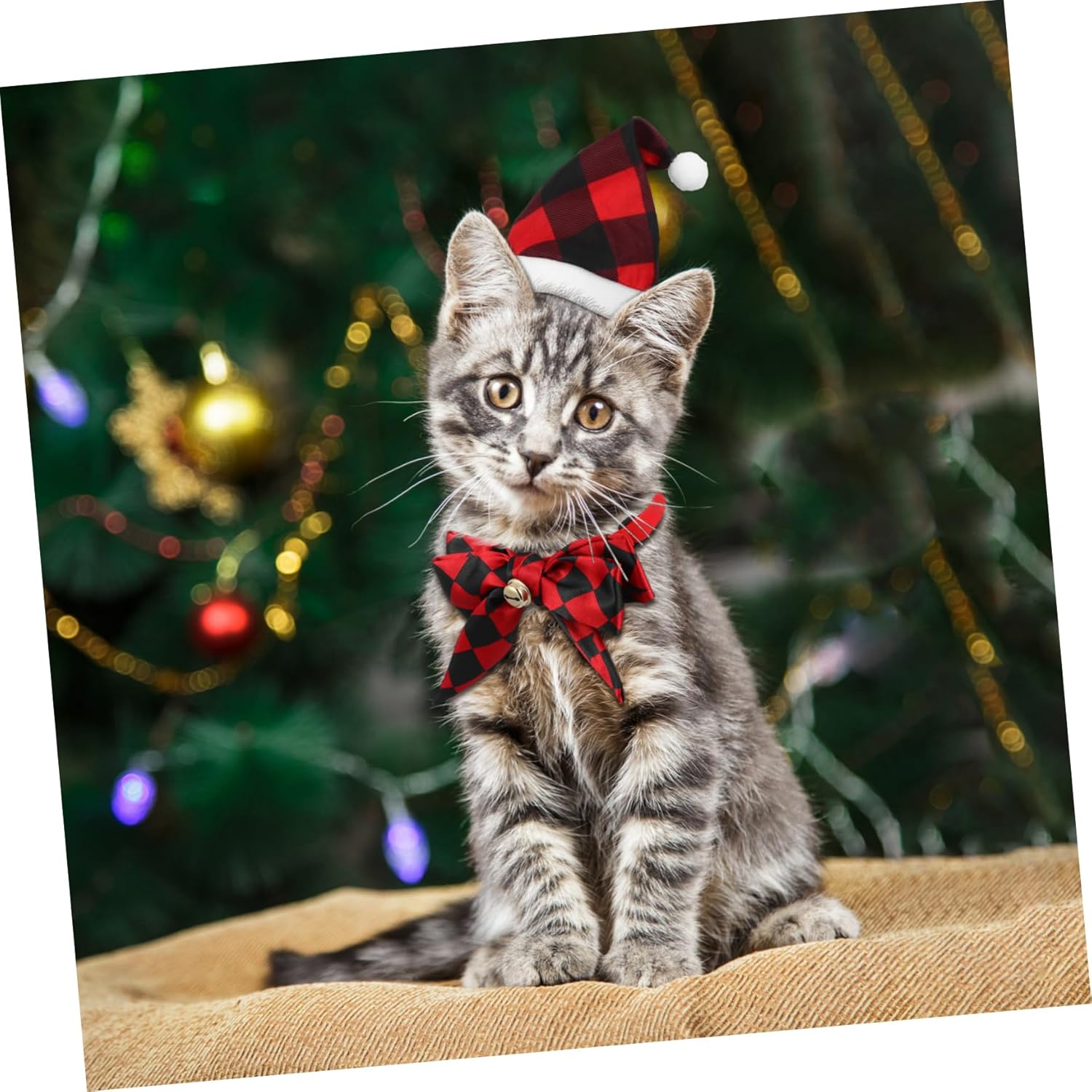 INOOMP Christmas Pet Outfit Set Dog Santa Hat Bow Tie Warm Winter Dog Clothes Cat Xmas Attire Mini Knit Hat for Pups image number 3