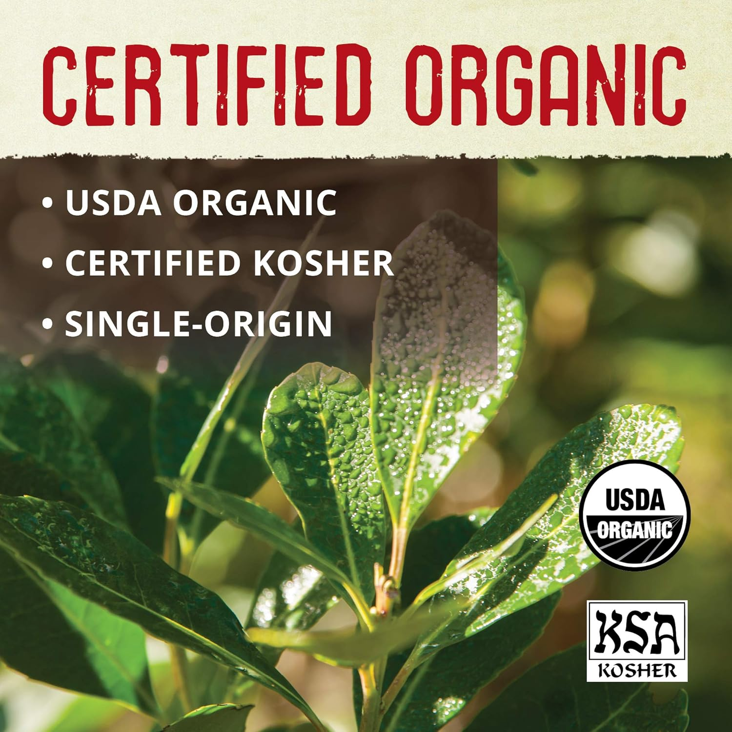 ECO TEAS Organic Yerba Mate Unsmoked Green Tea - 24 Bags image number 2