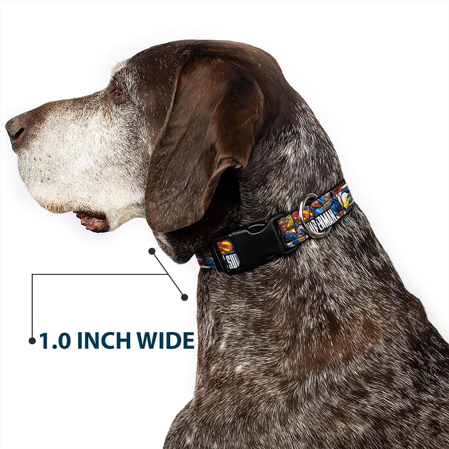Buckle-Down Plastic Clip Dog Collar, Superman Action Blocks White/Multicolour, 8 to 12 Neck Size X 0.5 Inch Width