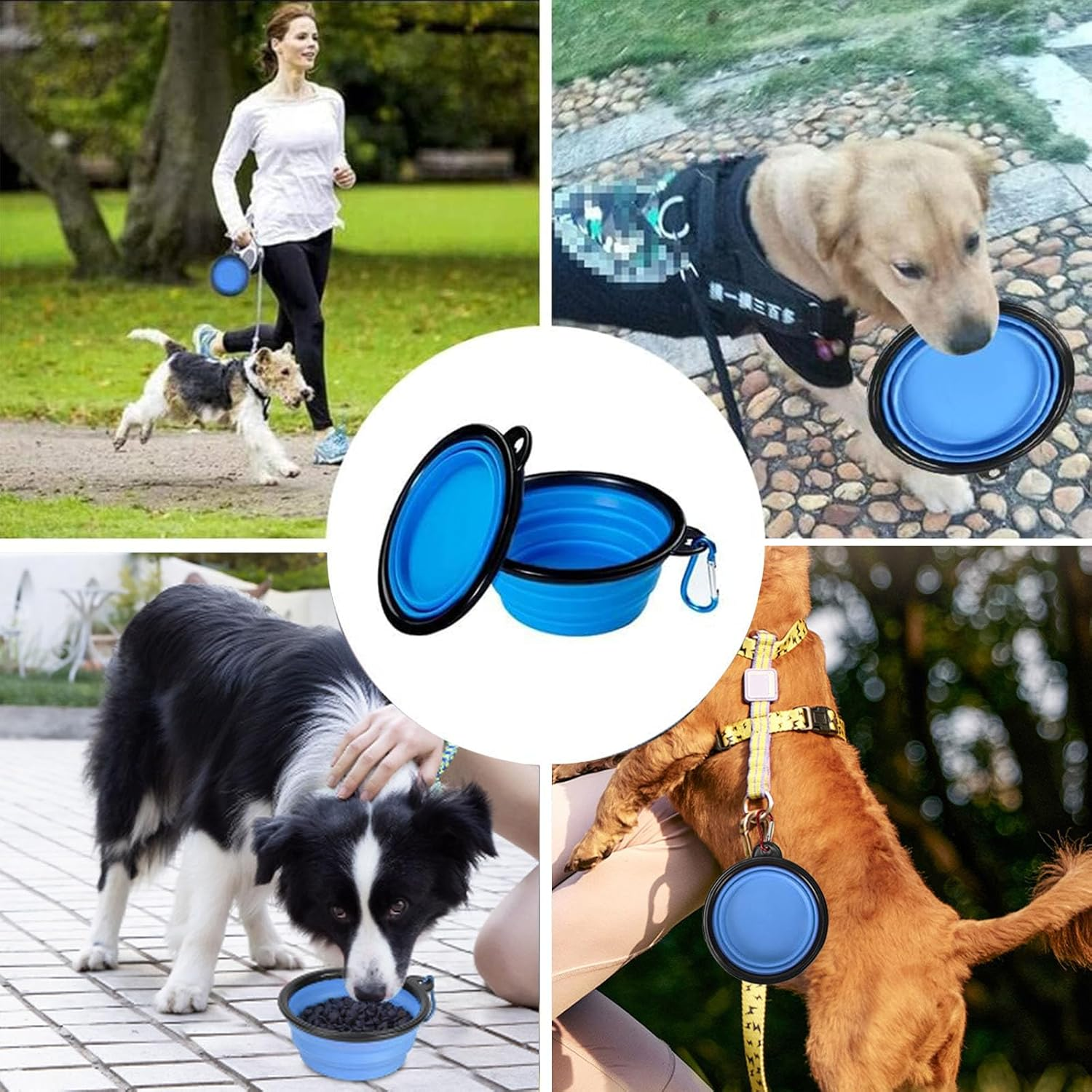 Foldable Dog Bowl, 2 Piece Dog Bowl with Lid, Foldable Dog Bowl for on the Go, 350 Ml Foldable Dog Bowls, Foldable Travel Bowls, Portable Silicone Feeding Bowl, Dog Bowl image number 2