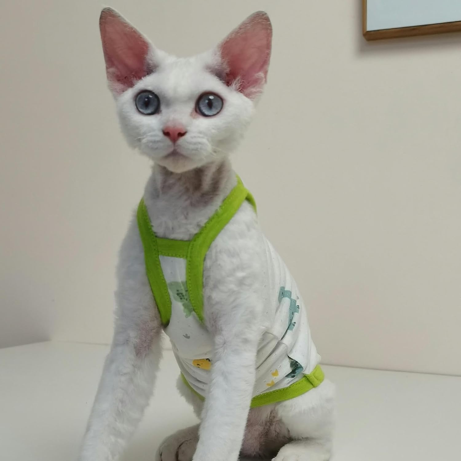 IUOUTG Sphynx Cats Shirt Pure Cotton Hairless Cats Clothes Cute Summer Thin Cat Pullover Vest Cats Pajamas with Cartoon Print Kitten Sling Vest for Sphynx Devon Cornish Peterbald image number 3