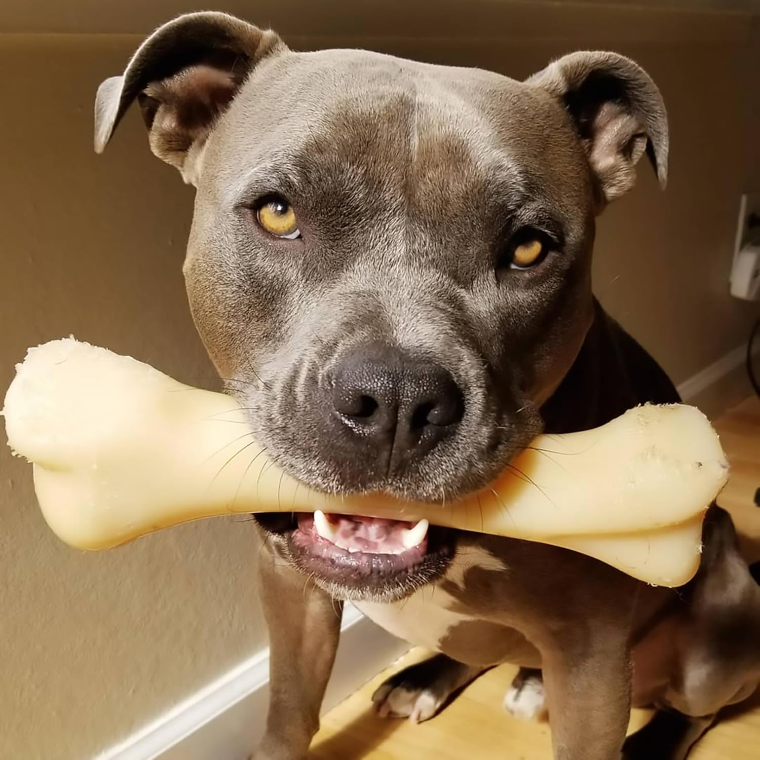 Nylabone Power Chew Extreme Chewing Big Chew Durable Toy Bone for Large Breeds, Monster Bone image number 1