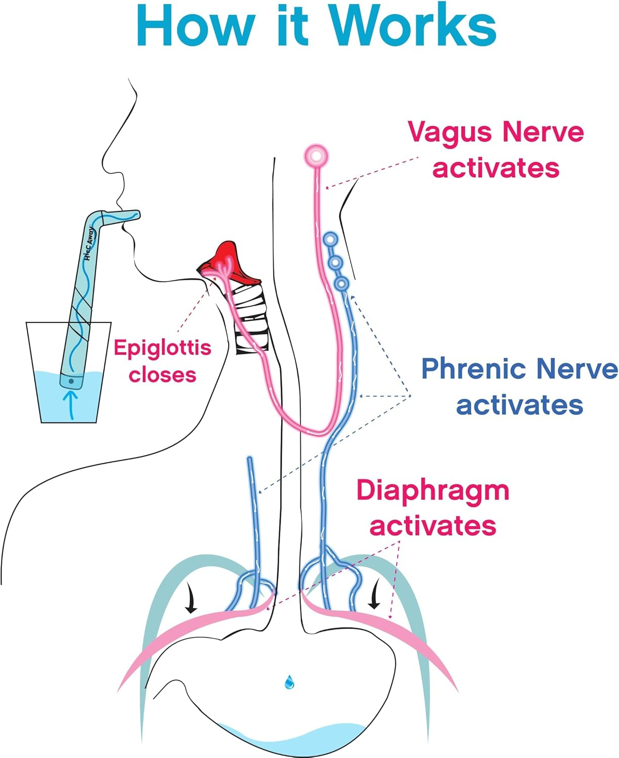 Hiccaway Hiccup Straw - Stops Hiccups Naturally & Fast - as Seen on Shark Tank - Clinically Proven Relief for All Ages, Children & Adults - (Hiccaway Family Pack Blue, Pink, Green, Purple) 4 Pack