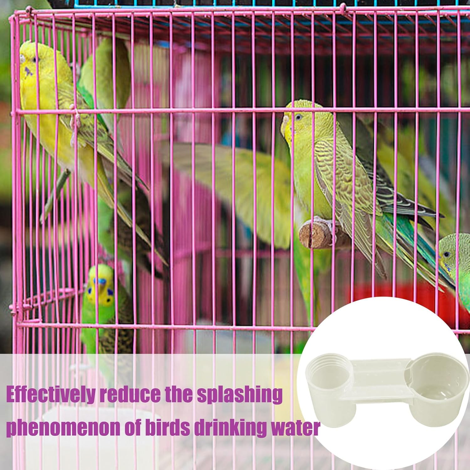 Bird Water Dispenser | Water Bottle Bird Drinker for Cage - Splash-Proof Transparent Dispenser Double-Port Design for Pigeons Chickadees Parakeet Finches Chicken Home Garden image number 3
