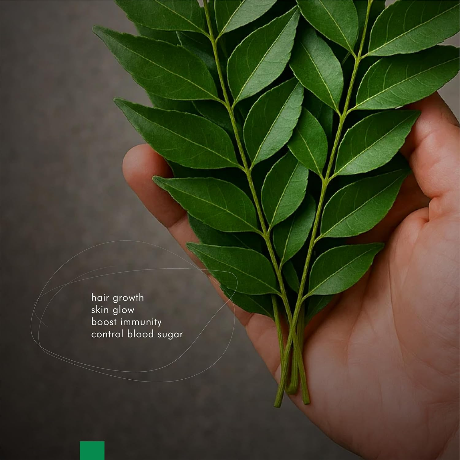 H & C Curry Leaves Powder- 227G (0.5 Lb) for Hair Care Formulation- Known to Hair Growth Benefits image number 5