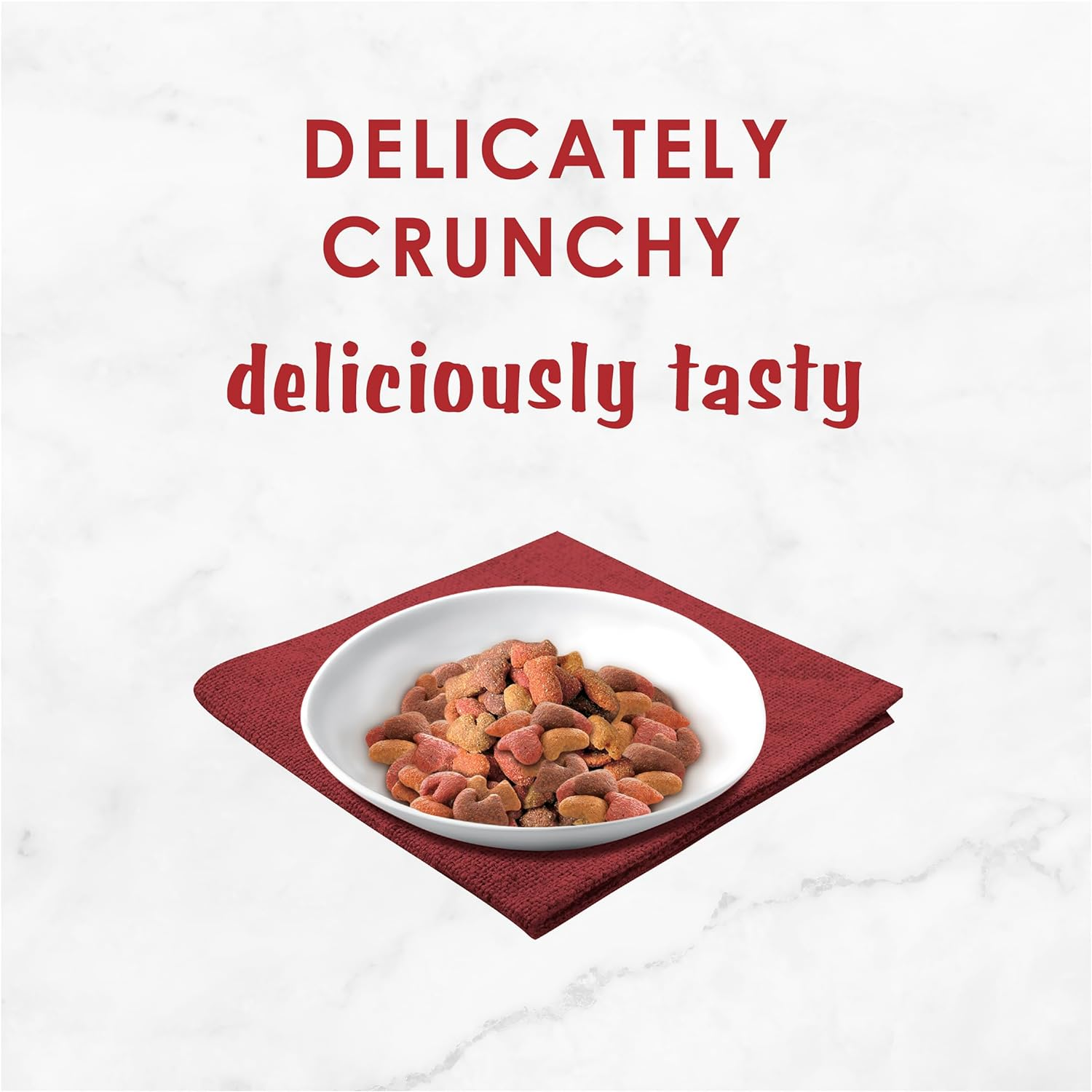 FANCY FEAST Adult Dry Cat Food Beef, Salmon and Cheese, 450G (Pack of 4)