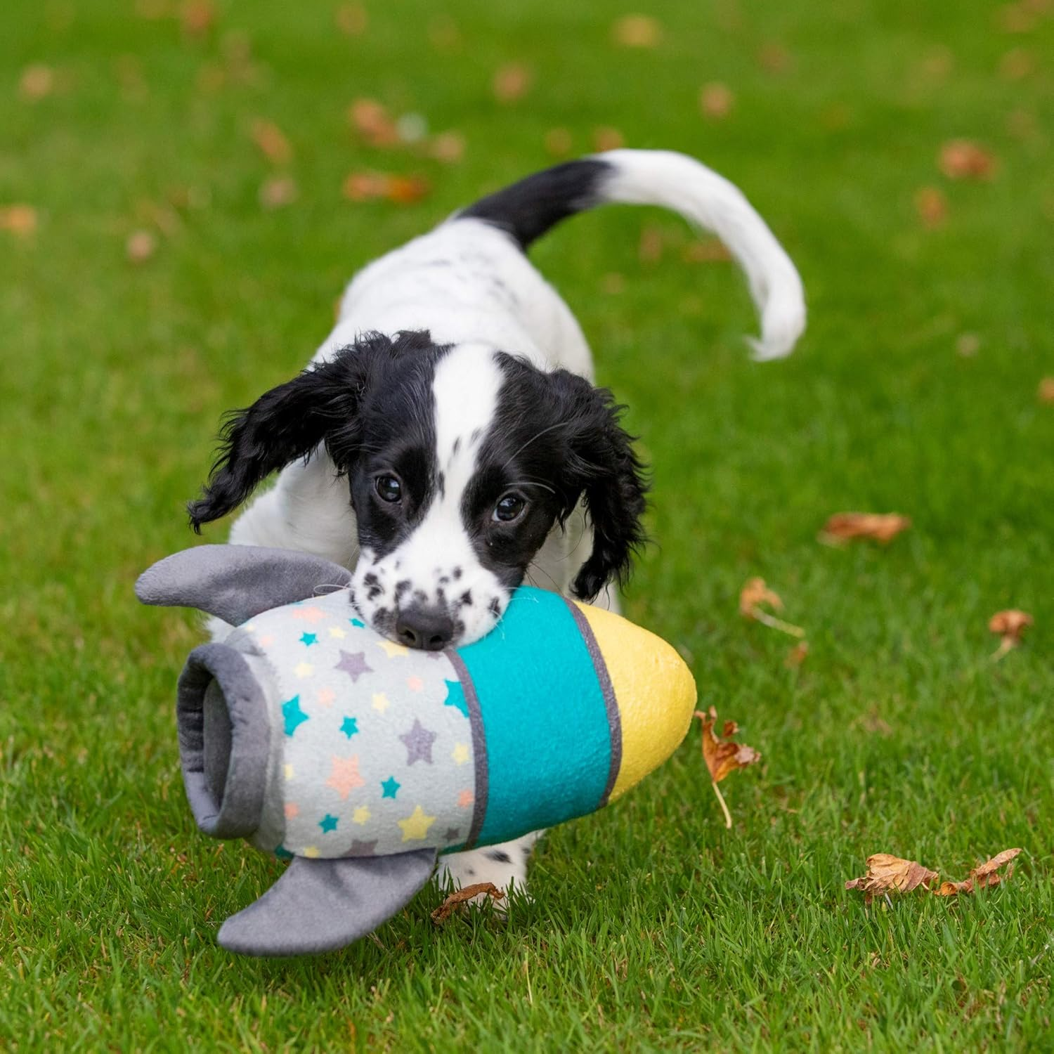 Petface (Little Petface) Rocket, Plush Puppy Dog Toy image number 1