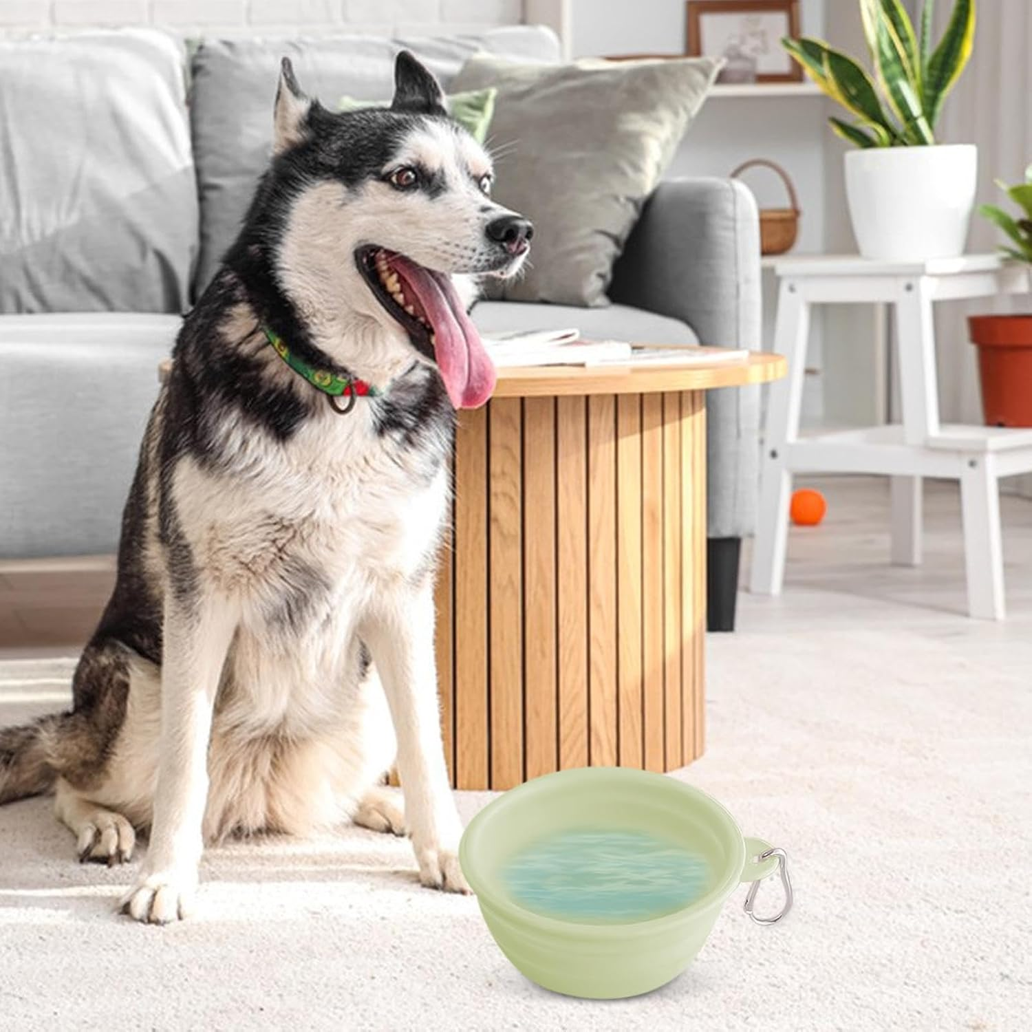 Dog Foldable Bowl,Pet Travel Bowls Portable for Dogs - Watering Feeding Dish Small Medium Large Pets Drinking Cup for Camping, Outing, Travelling image number 5