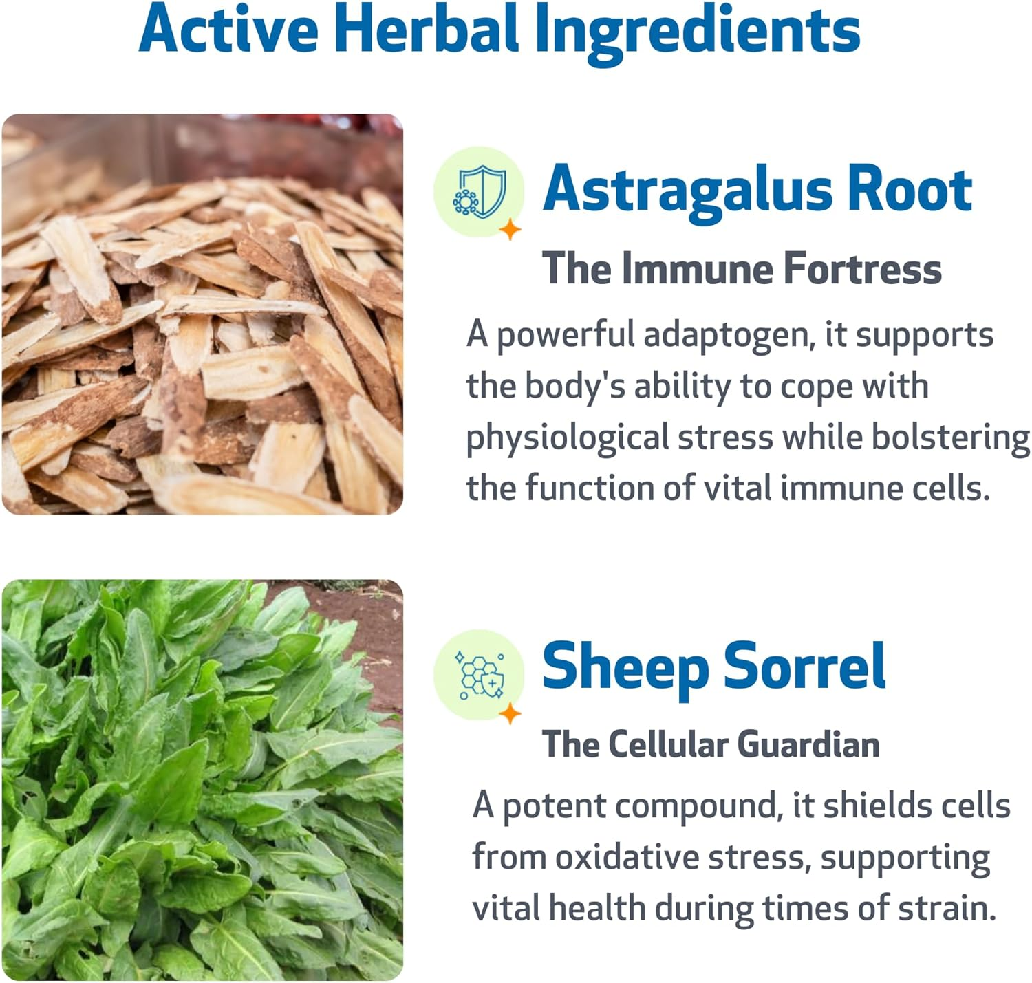 Life Gold for Dogs & Cats - Supports Detoxification, Immune System Health, Antioxidants - Vet-Formulated Herbal Supplement &ndash; 4 Oz (118 Ml) image number 4