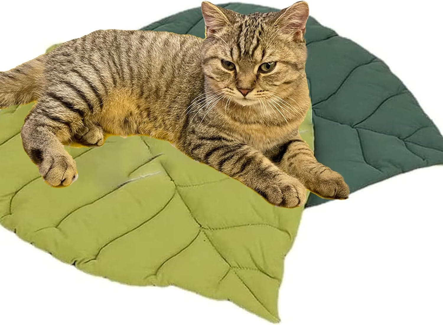 REGODI Double-Sided Floor Mat Cover Pad for Cats and Dogs, Warm and Comfortable Cartoon Cat Bed, Indoor Pet Accessories image number 5