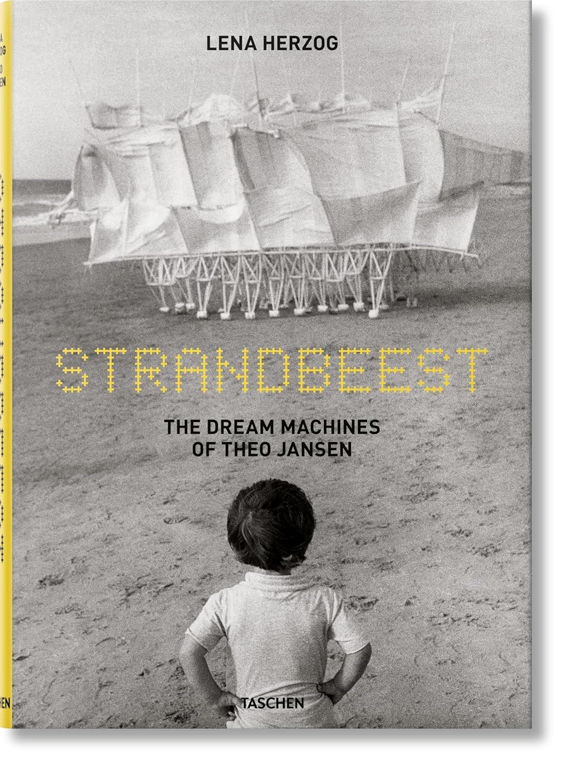Lena Herzog. Strandbeest. the Dream Machines of Theo Jansen image number 6