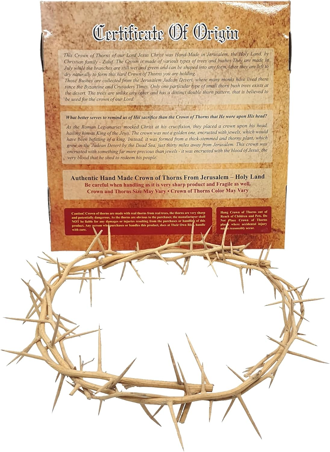 Jerusalem Authentic Biblical Lifesize Real Crown of Thorns with Box & Zuluf Certificate | Religious Easter Wreath Home D&eacute;cor Tree Topper | Jesus Christ Wall Decor Christmas Christian Gifts| HLG214 image number 5